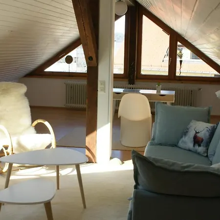 Ferienwohnung Rappeneck-blick Nur Fuer Urlauber Apartmán Kirchzarten